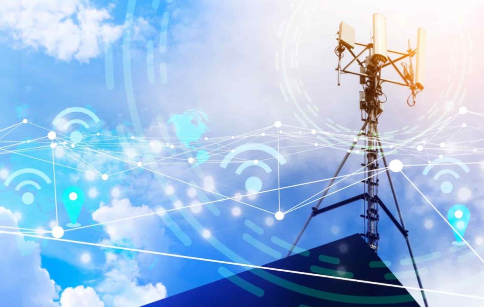 shutterstock_2169923823 cropped